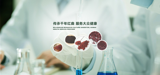 探索武漢佳成生物制品的紅曲世界 功能、發酵與釀造紅曲的多元應用